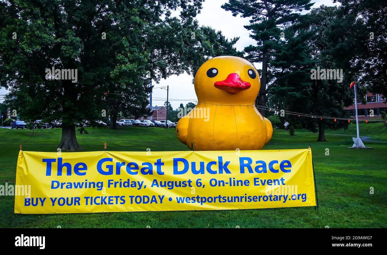 WESTPORT, CT, USA - JULY, 24, 2021: Symbolic big yellow inflatable duck near library for The Great Duck Race Stock Photo