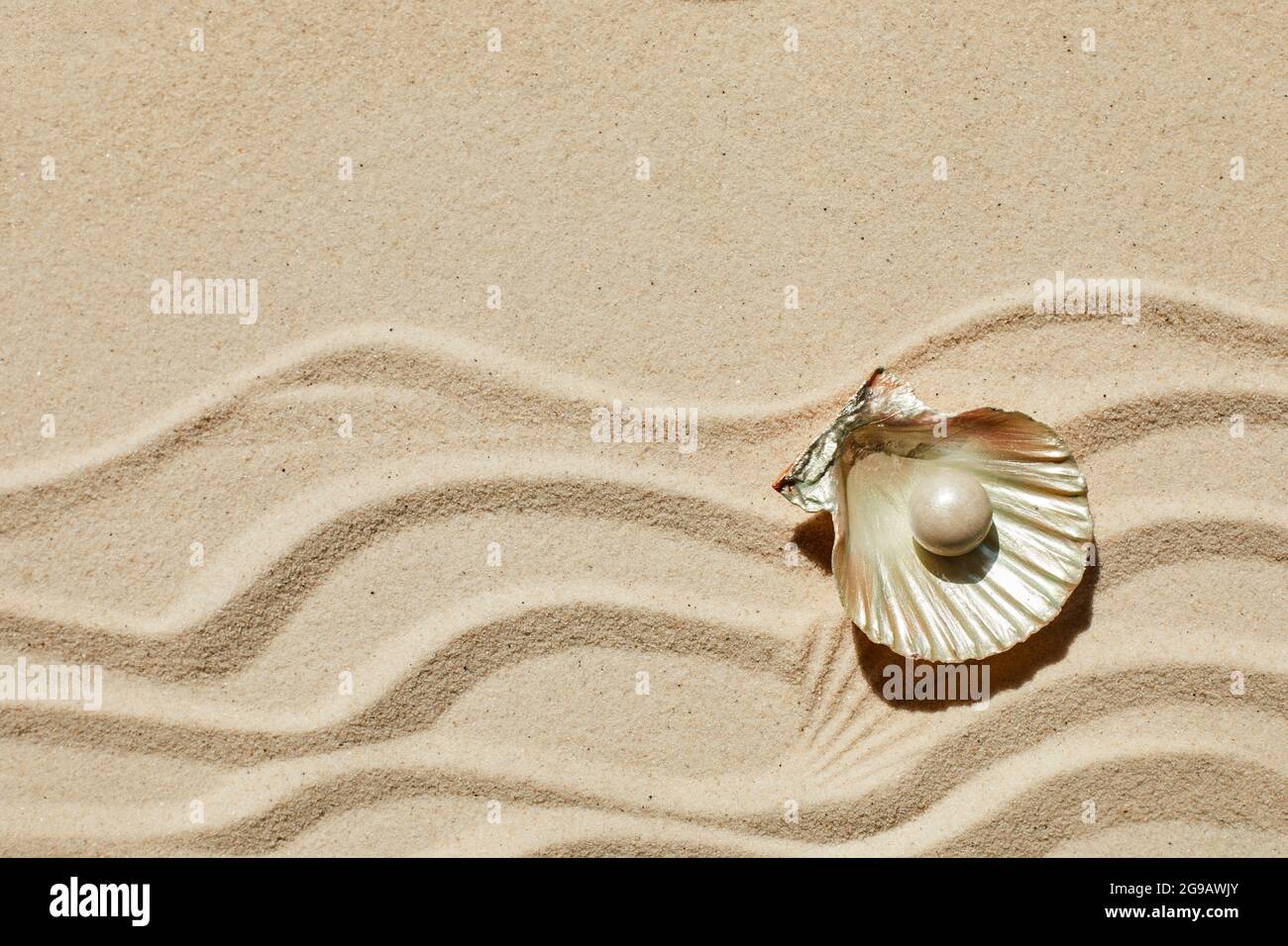 Sea shell with white pearl on sand background. Top view Stock Photo