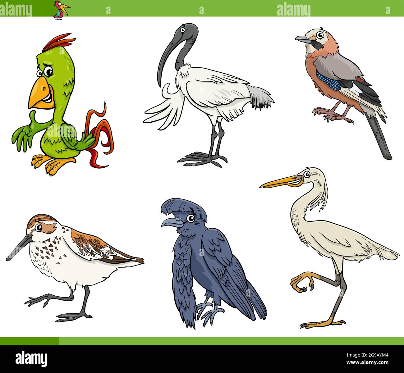 Cartoon illustration of birds animal species characters set Stock Vector Image & Art - Alamy Cartoon illustration of birds animal species characters set Stock Vector Image & Art - Alamy
