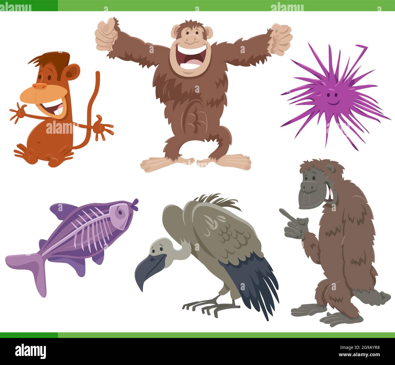 Species of urchin Stock Vector Images - Alamy