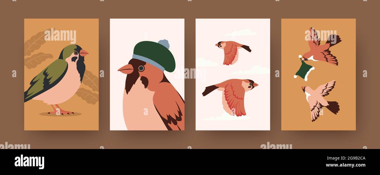 Set of contemporary art posters with sparrows and winter caps. Bird wearing hat cartoon vector illustrations. winter, nature concept for desi Stock Vector Image & Art - Alamy