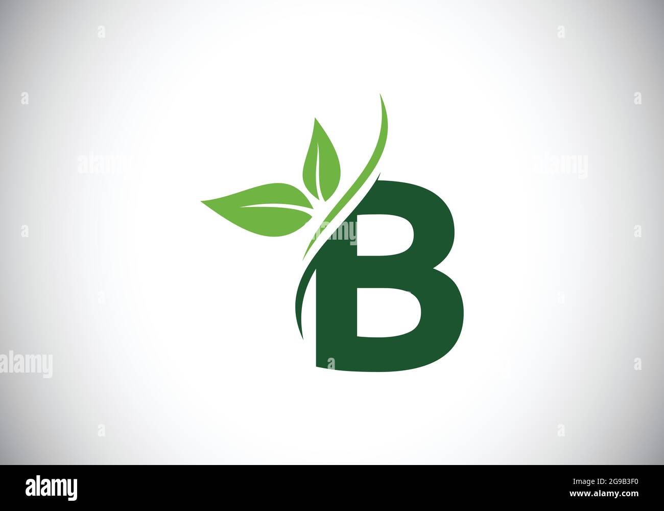 https://c8.alamy.com/comp/2G9B3F0/initial-b-monogram-alphabet-with-two-leaves-green-eco-friendly-logo-concept-modern-vector-logo-for-ecological-business-and-company-identity-2G9B3F0.jpg