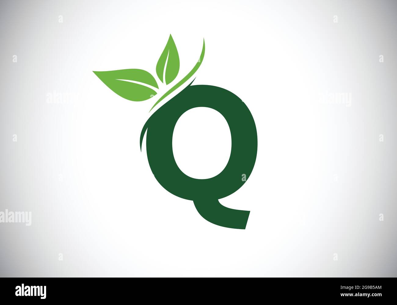 Initial Q monogram alphabet with two leaves. Green, eco-friendly logo ...