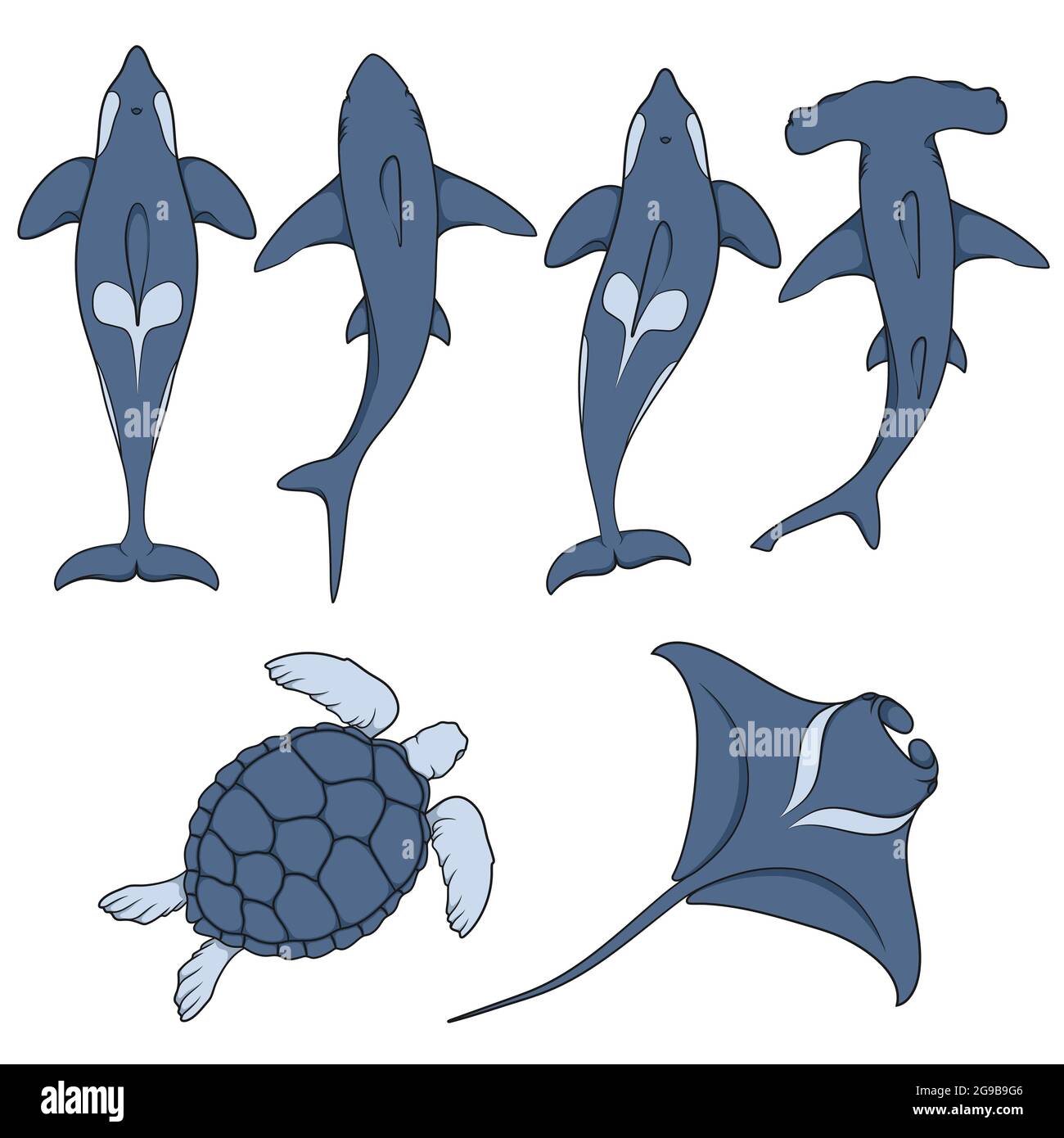 Set of images with marine animals. Vector color isolated objects on white background. Stock Vector
