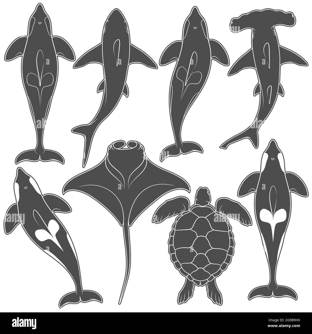 Set of images with marine animals. Vector black and white isolated objects on white background. Stock Vector