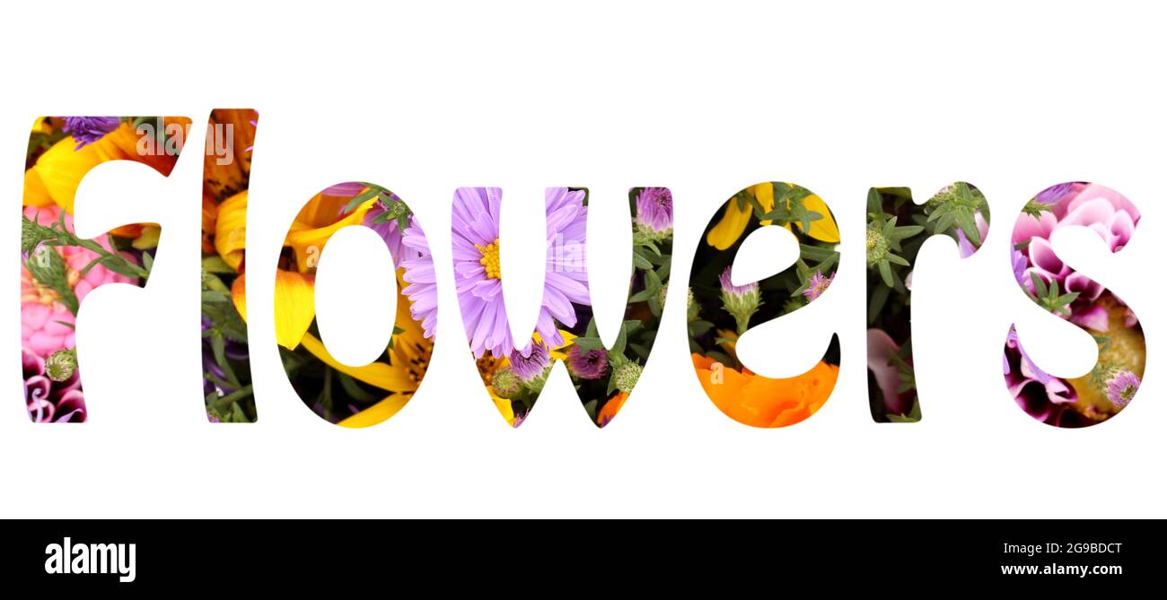Word flowers making with bright flowers Stock Photo Alamy
