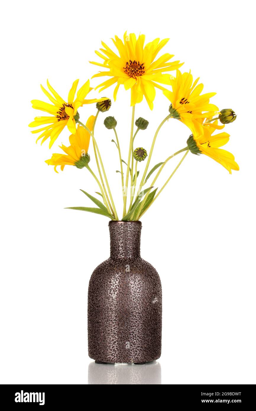 beautiful yellow flowers in vase isolated on white Stock Photo Alamy