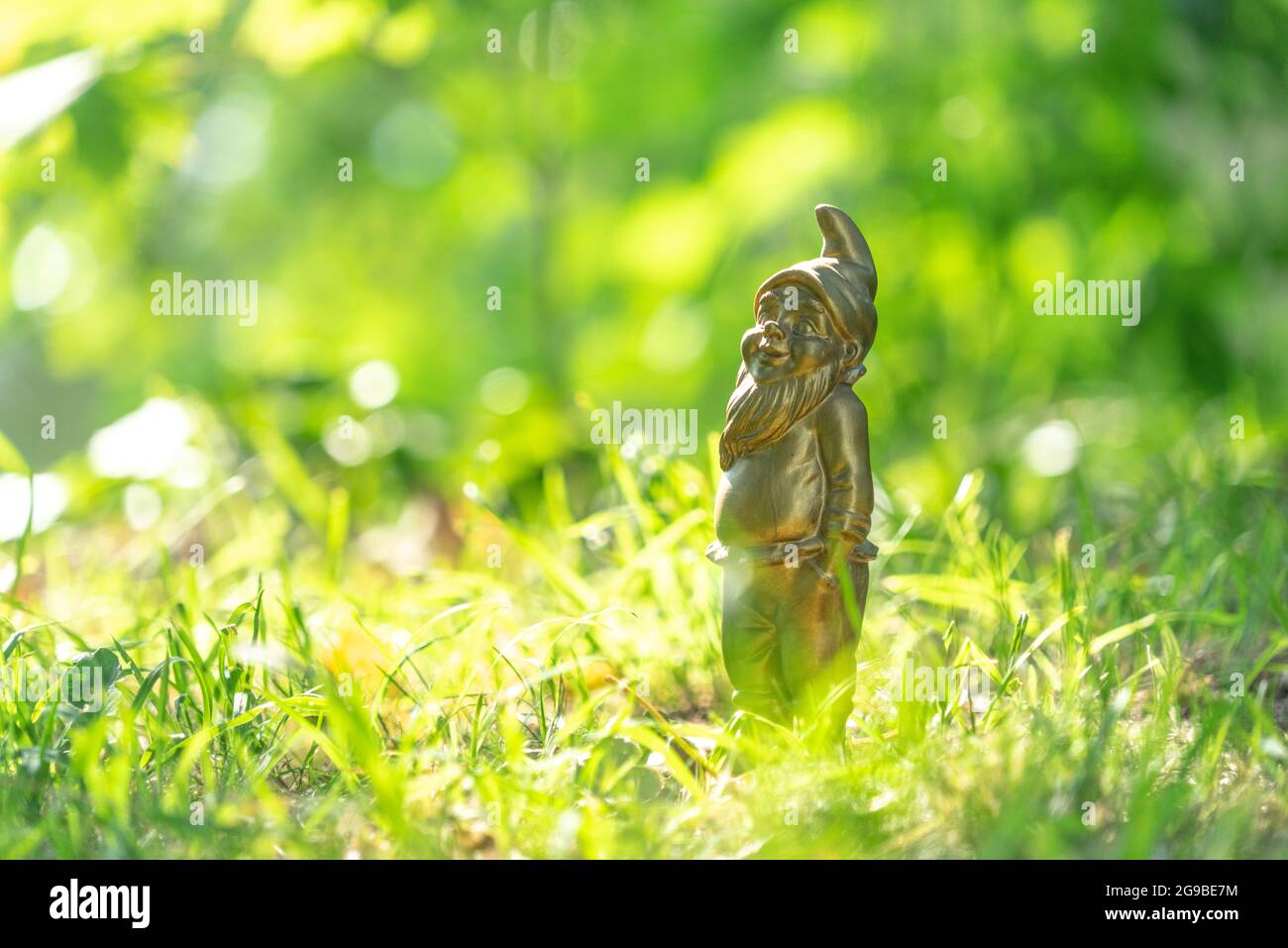 Bieder High Resolution Stock Photography and Images - Alamy