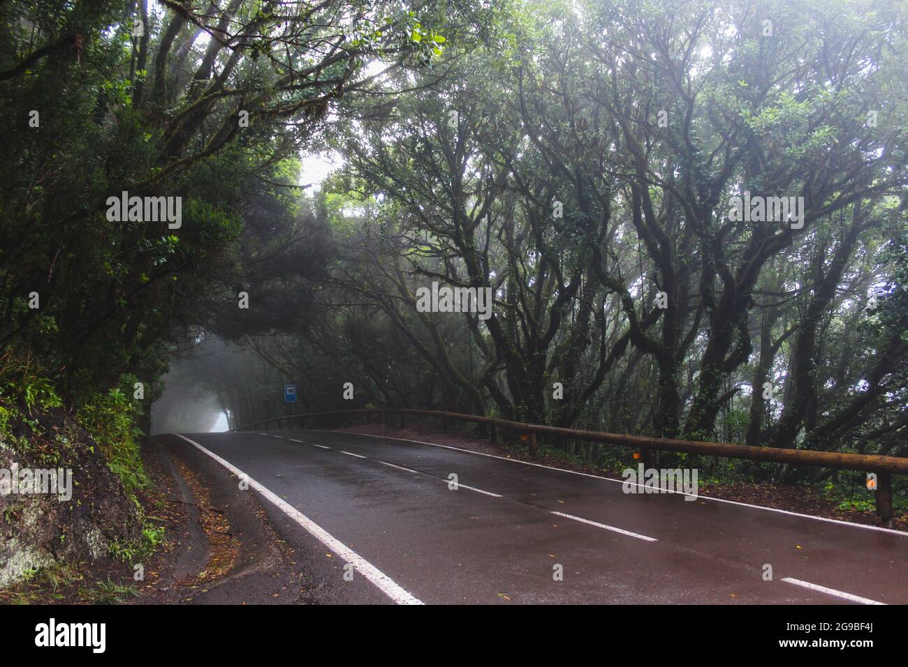 Scenic road in the Macizo de Anaga UNESCO biosphere reserve, Tenerife, Spain. Stock Photo