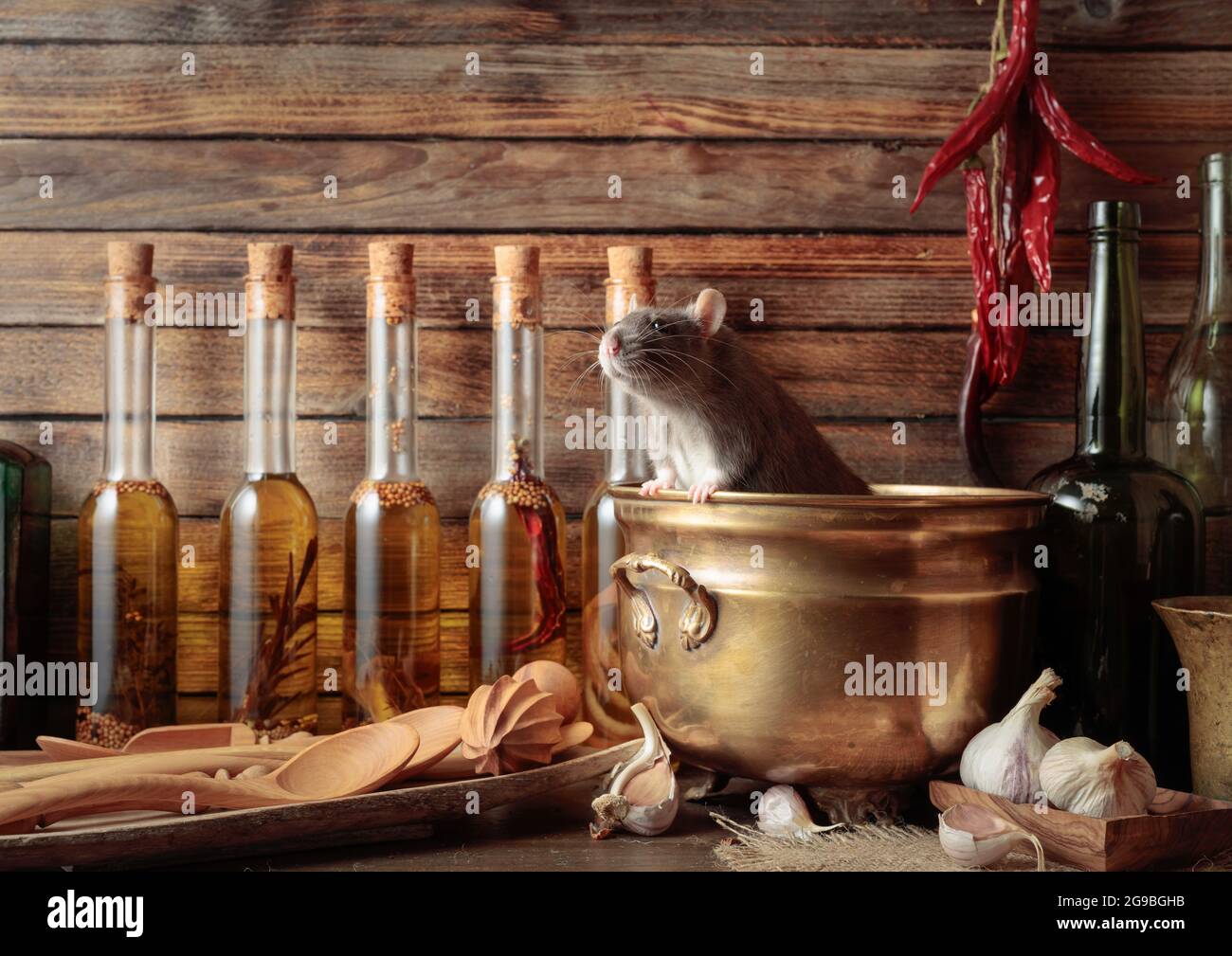 Rat on a table with old kitchen utensils in a wooden shed Stock Photo ...