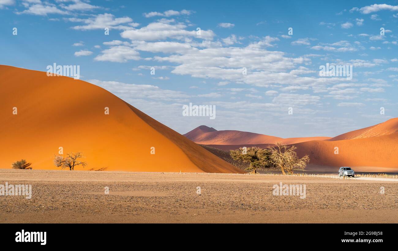 Tourist vehicle next to towering sand dune near Sossusvlei in the Namib ...
