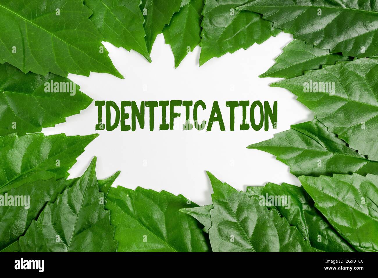 Writing displaying text Identification. Concept meaning an action or