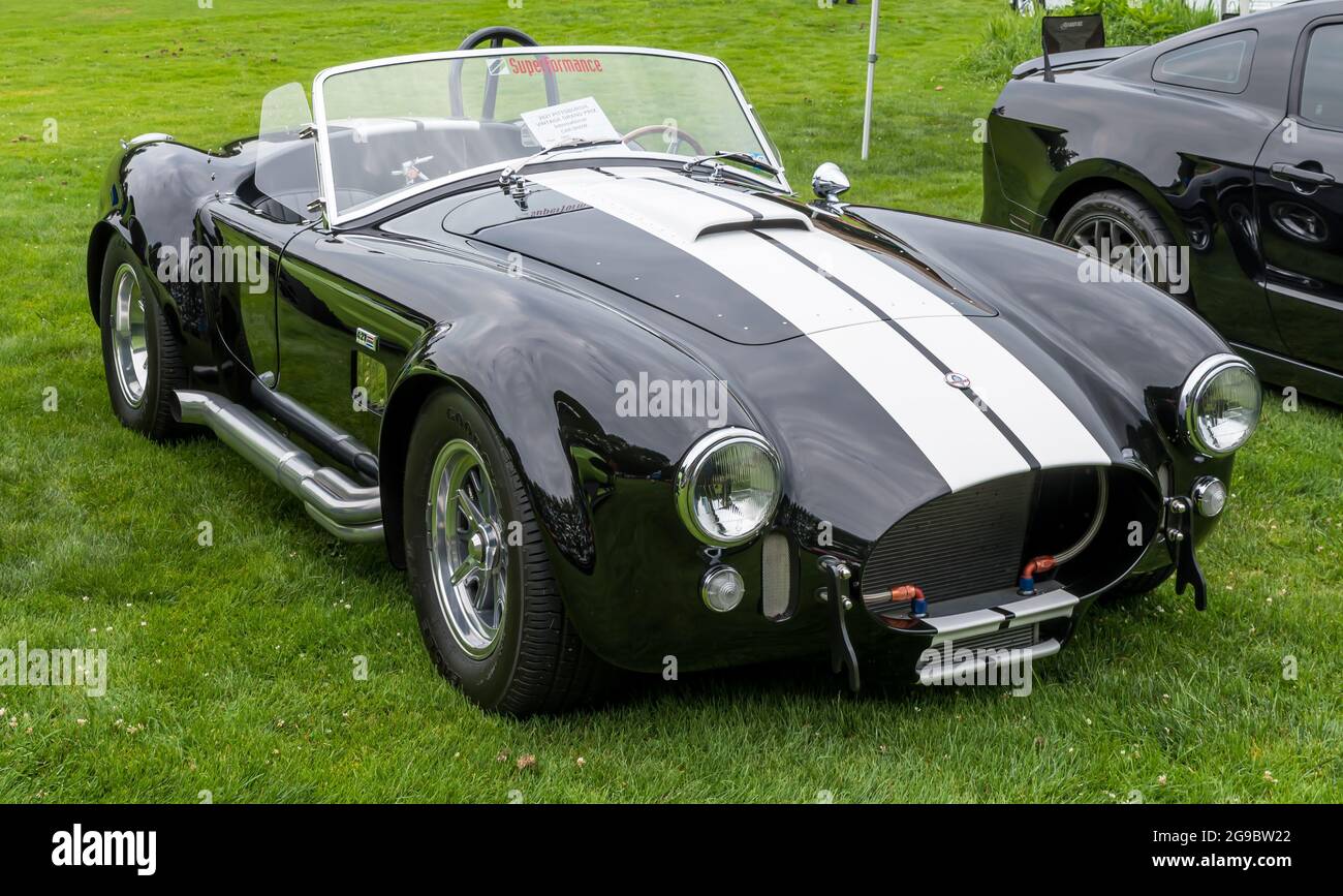 Mustang Cobra 1965