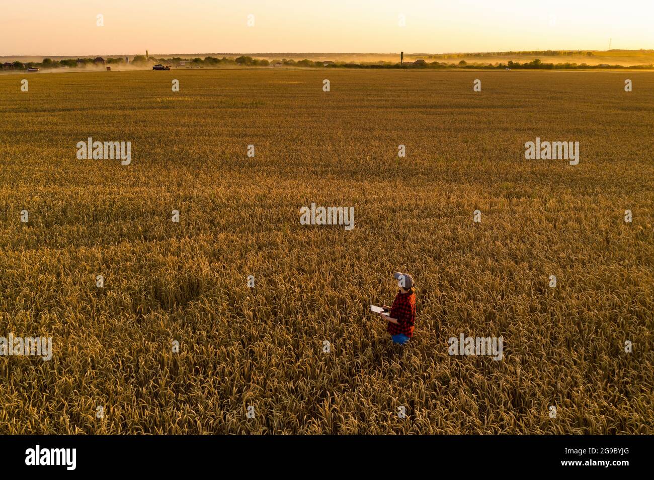 Farmer with digital tablet on a wheat field. Smart farming and digital transformation in agriculture.  Stock Photo
