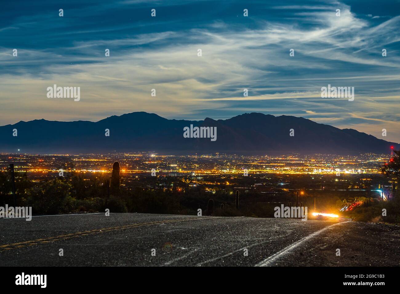 The beautiful Saguaro National Park in Arizona Stock Photo