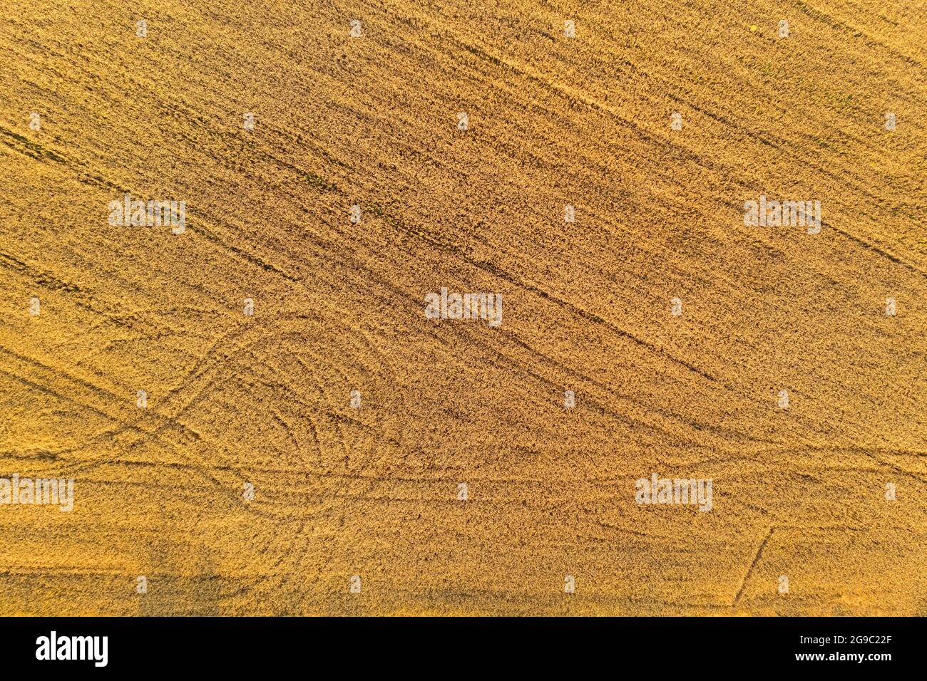 Aerial wheat field harvest hi-res stock photography and images - Alamy