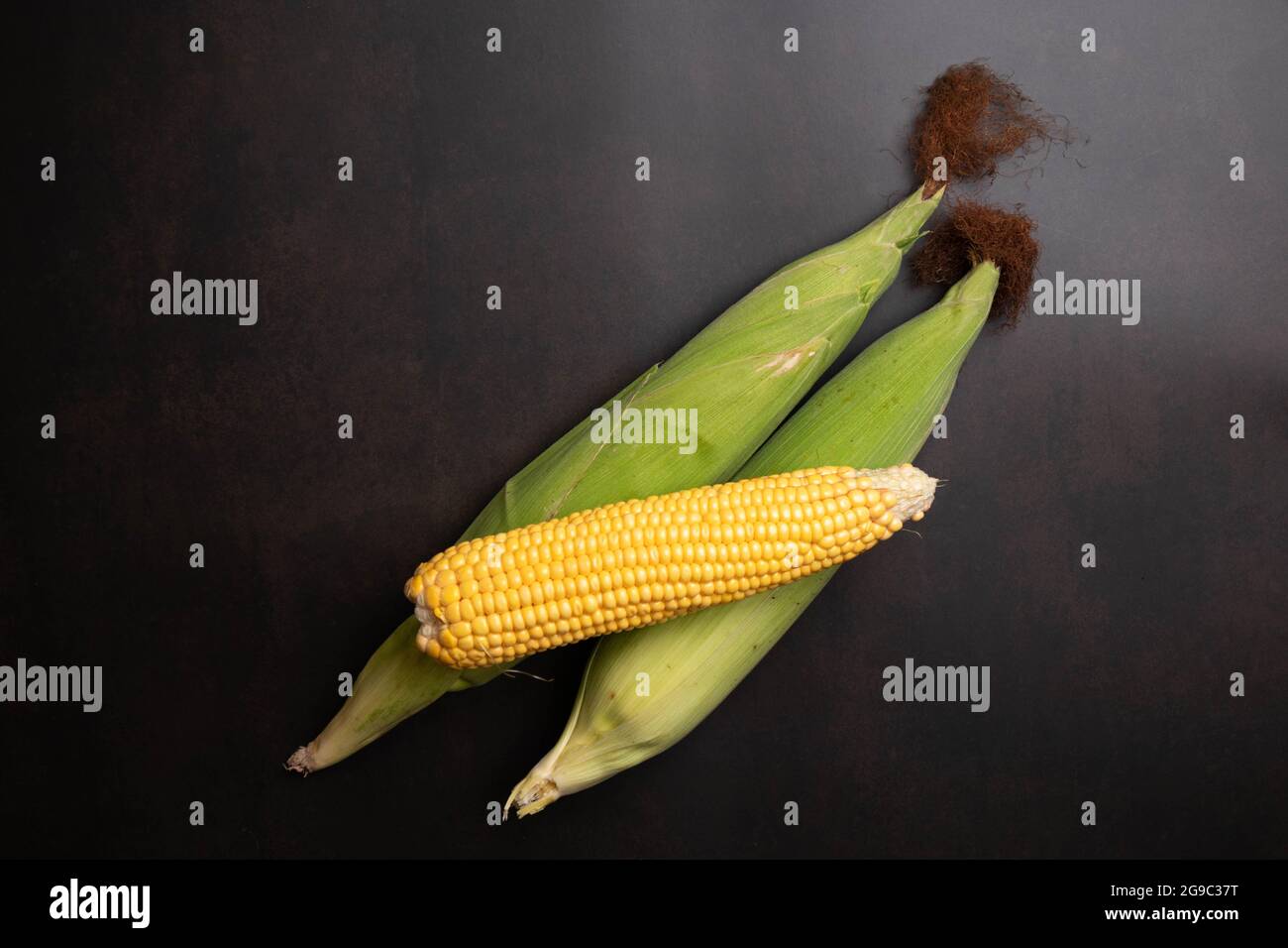Fresh corn cobs on flat black background Stock Photo