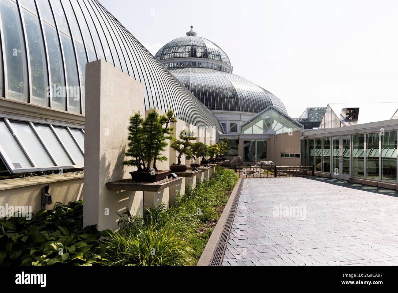 The Ordway Gardens bonsai exhibit at the Marjorie McNeely Conservatory