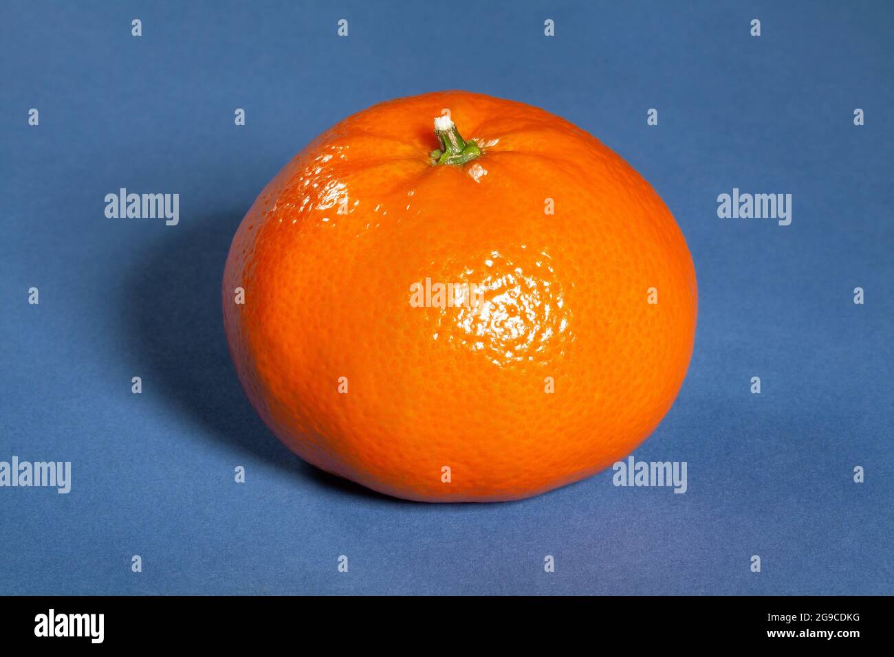 single tangerine on blue background Stock Photo