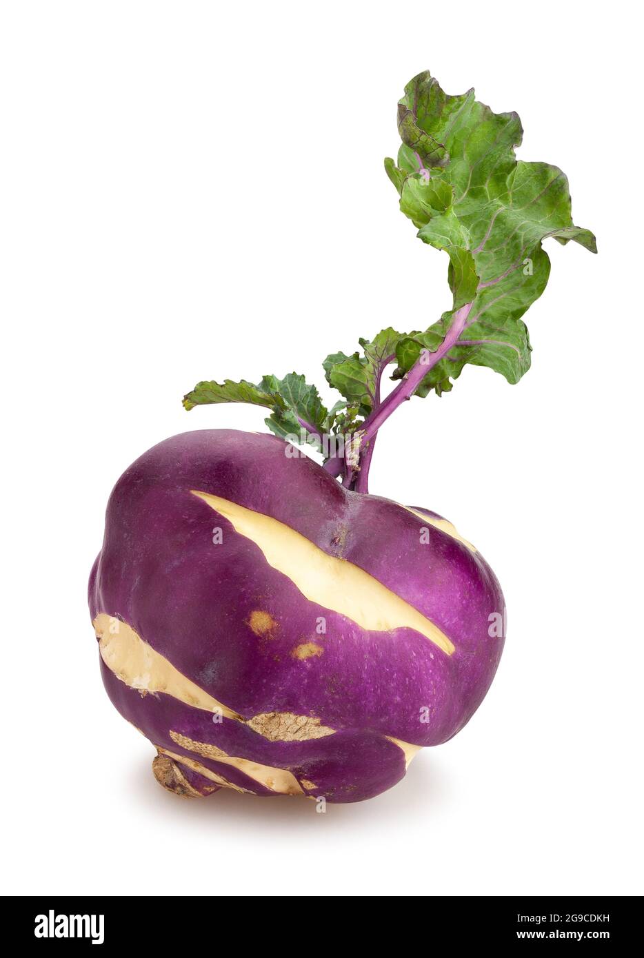 kohlrabi path isolated on white Stock Photo