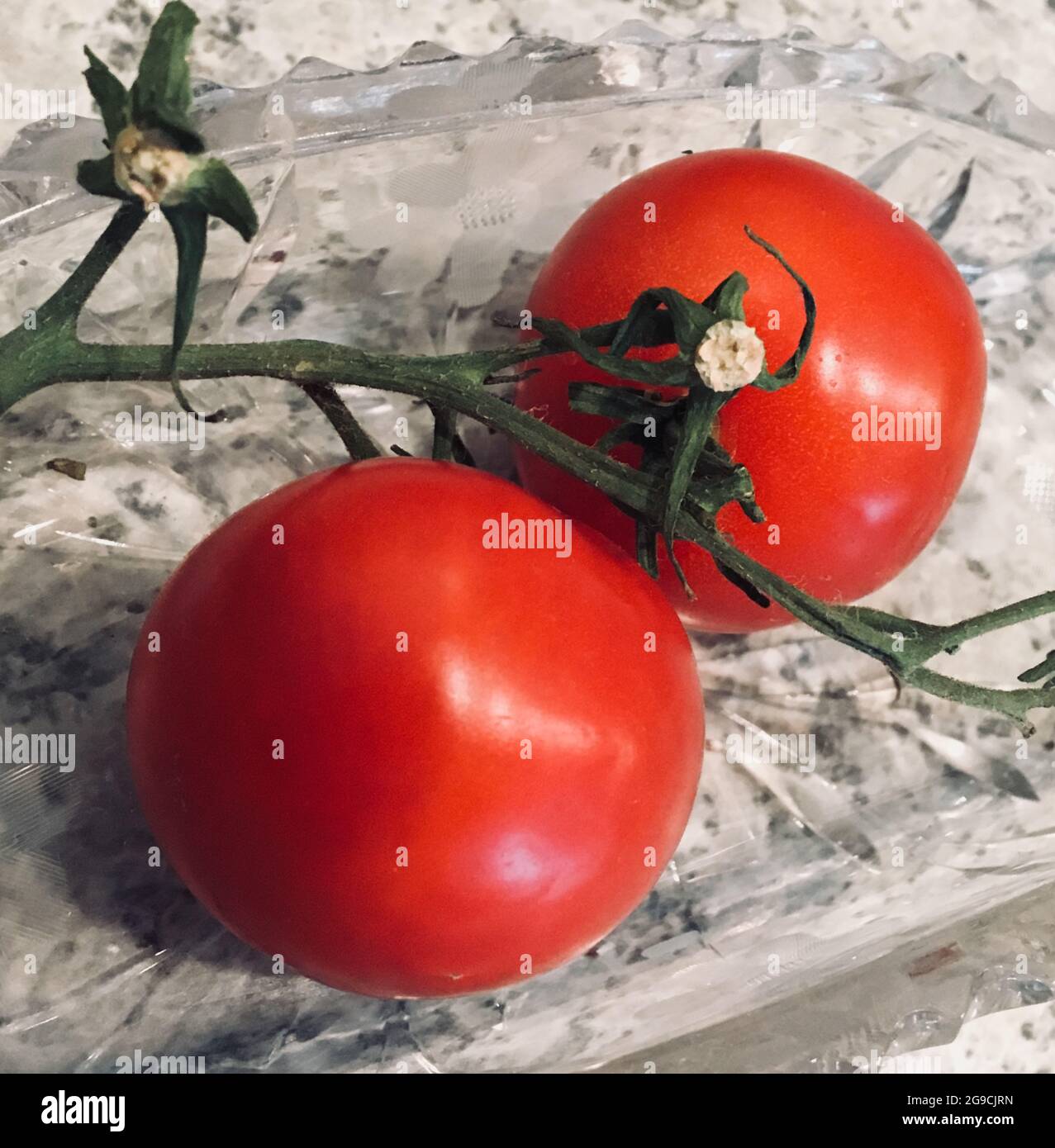 Two fresh, small cherry tomatoes on vine stem Stock Photo - Alamy