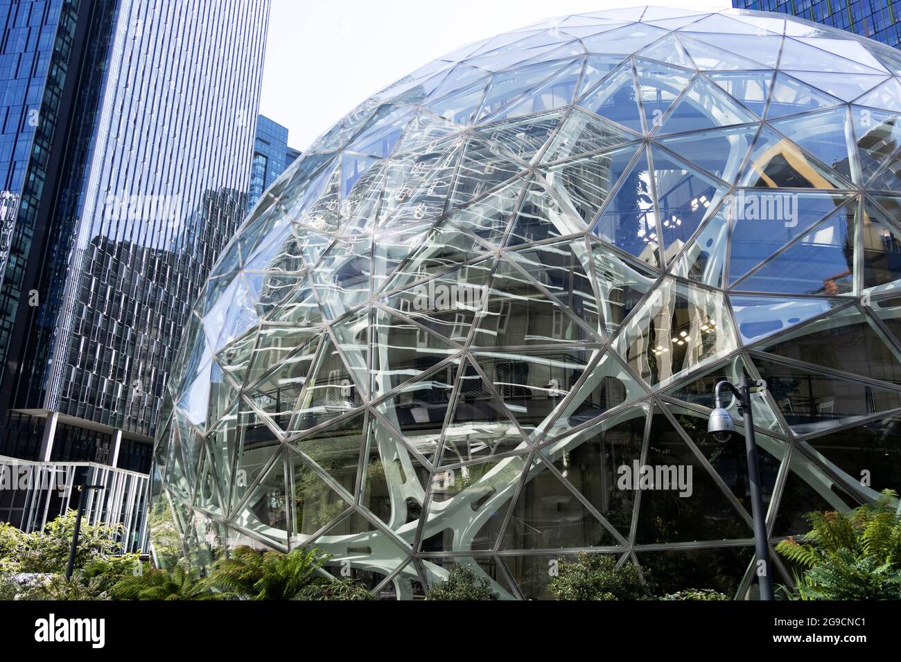 The Amazon Spheres office buildings at 7th Avenue in downtown Seattle