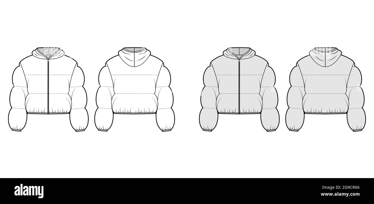 Hooded jacket Down puffer coat technical fashion illustration with long  sleeves, zip-up closure, boxy fit, crop length, wide quilting. Flat  template front, back, white color. Women, men top CAD Stock Vector Image