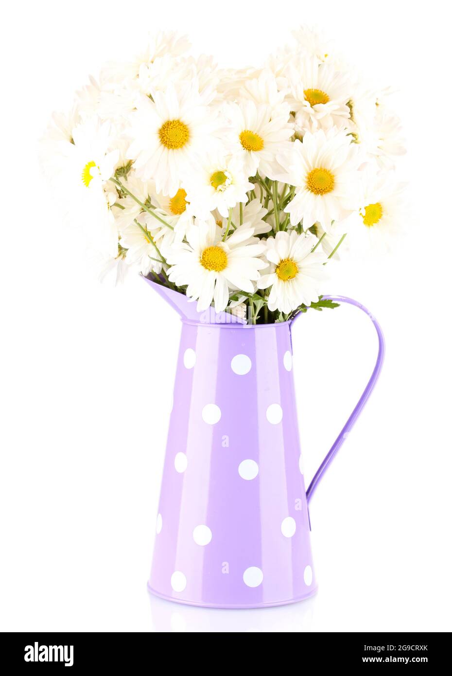daisies in vase isolated on white Stock Photo Alamy