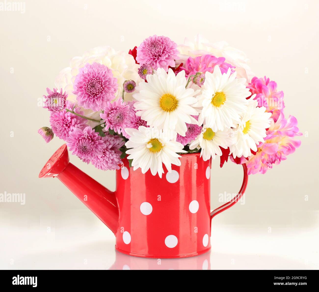 daisies and dahilas in vase isolated on white Stock Photo - Alamy