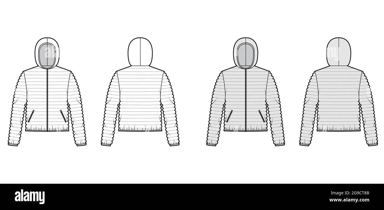 Hooded jacket Down puffer coat technical fashion illustration with long sleeves, zip-up closure, pockets, narrow quilting. Flat template front, back, white, grey color. Women, men, unisex CAD mockup Stock Vector