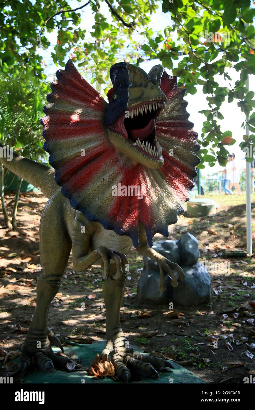 salvador, bahia, brazil - july 20, 2021: view of sculpture in Lagoa dos ...