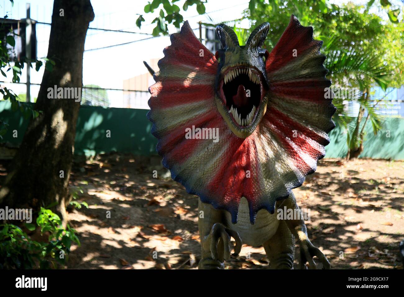 salvador, bahia, brazil - july 20, 2021: view of sculpture in Lagoa dos ...