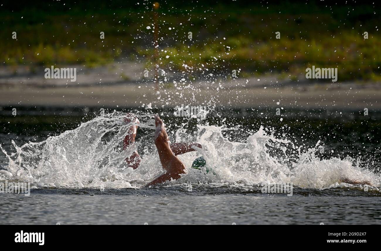 Olympic tri swim distance