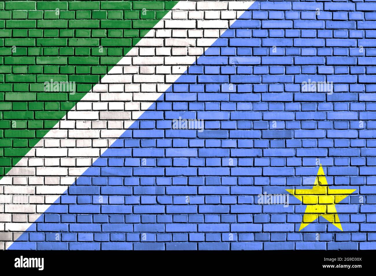 flag of State of Mato Grosso do Sul, Brazil painted on brick wall Stock Photo