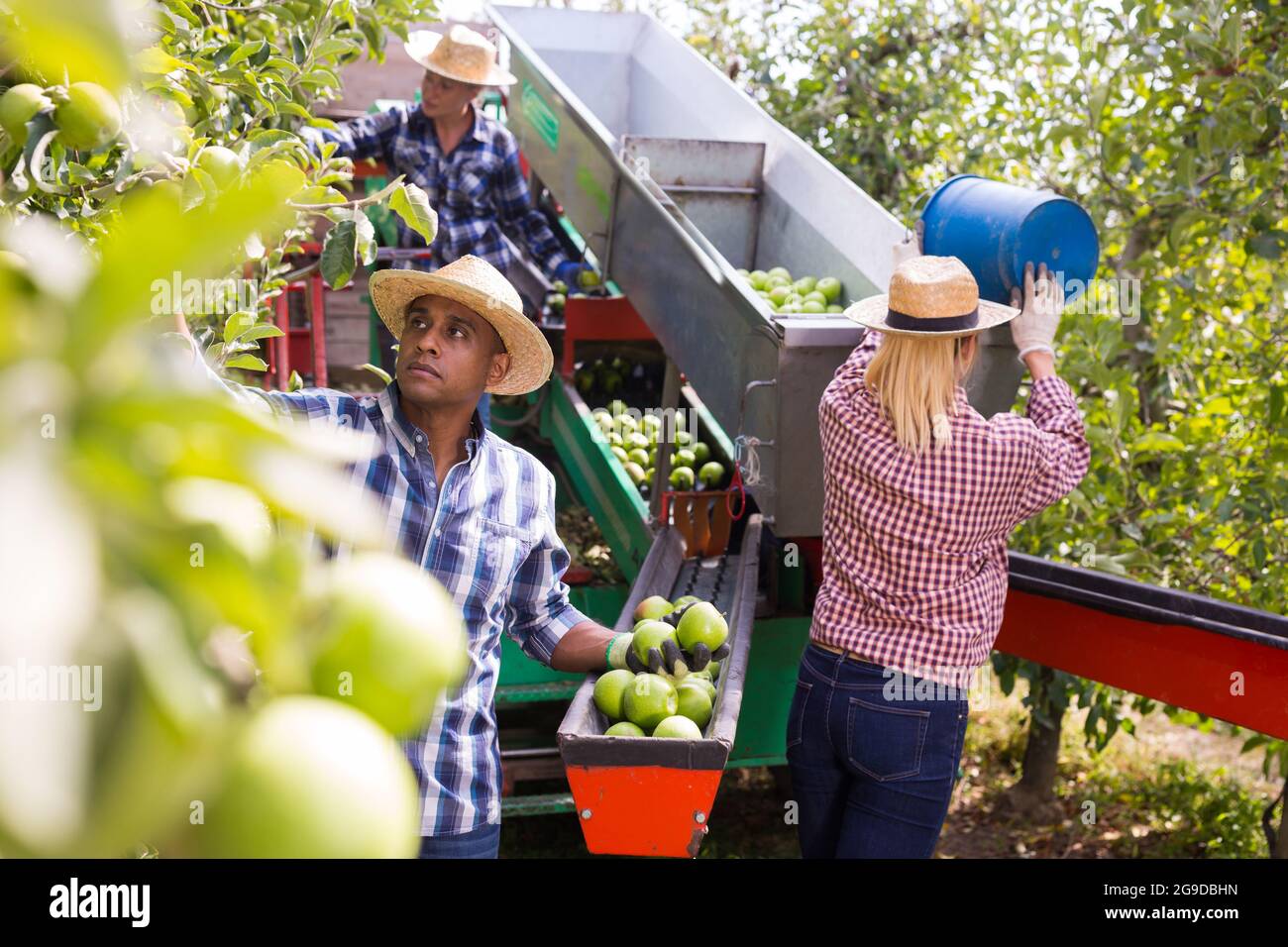 Latino farm worker family hi-res stock photography and images - Alamy