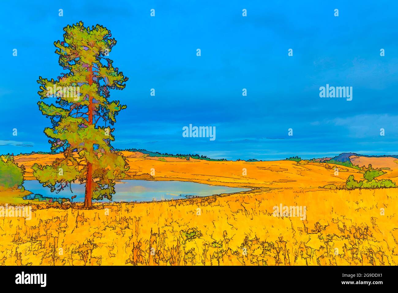 A pond in the middle of a meadow with hills and yellow grass. Tall, slender tree by the pond, forest in the background, blue sky with clouds above. Stock Photo