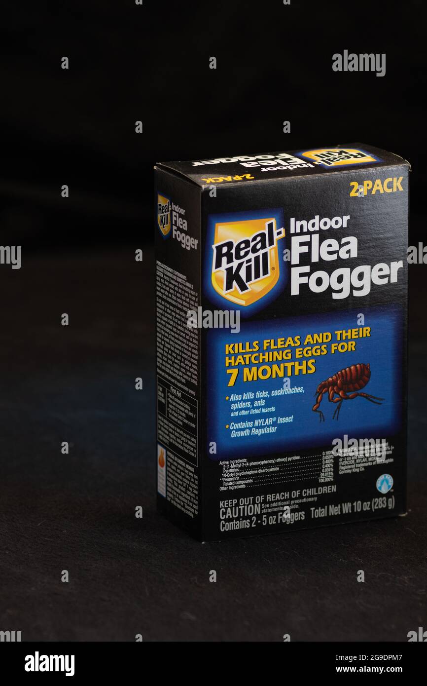 Box of Real Kill Indoor Flea Fogger. insecticide.  Fogger chemical is released into the air inside a building to kill fleas. Stock Photo