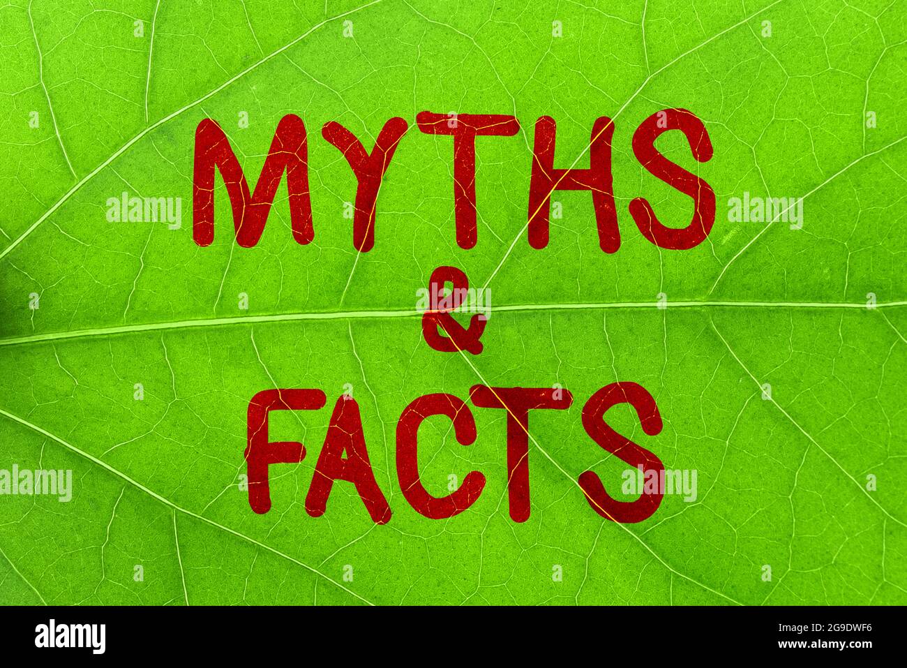 Writing Displaying Text Myths And Facts Concept Meaning Usually