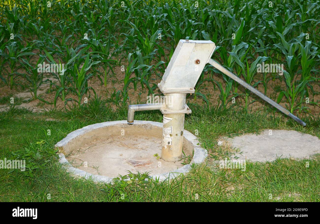 Hand pump in Corn fields Stock Photo Alamy
