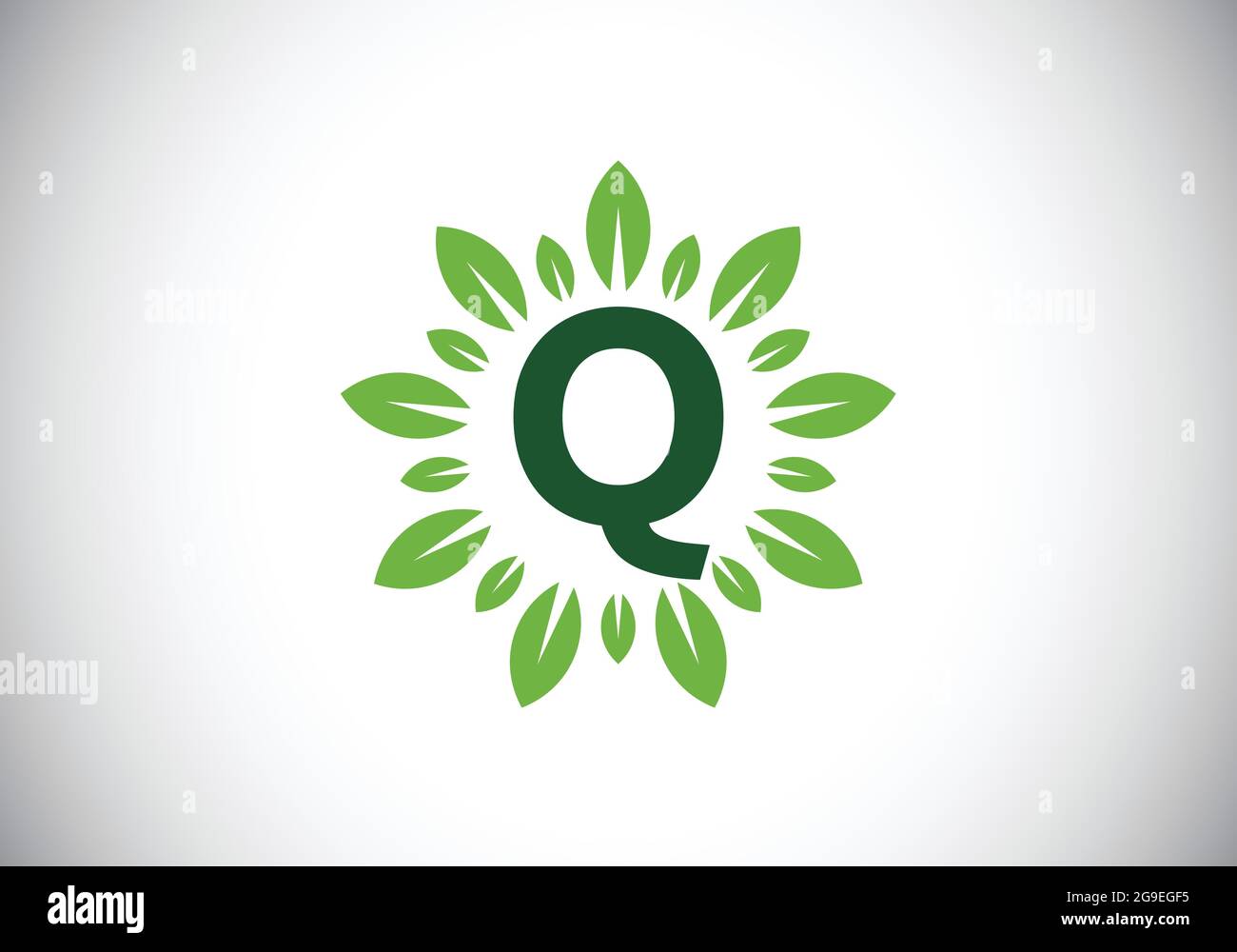 Initial Q monogram letter alphabet with leaf wreath. Green leaf, flower ...