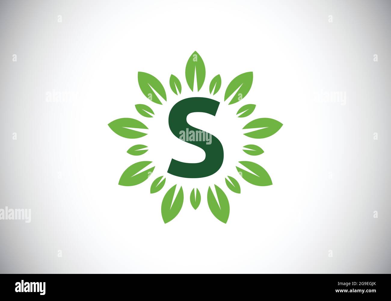 Initial S monogram letter alphabet with leaf wreath. Green leaf, flower ...