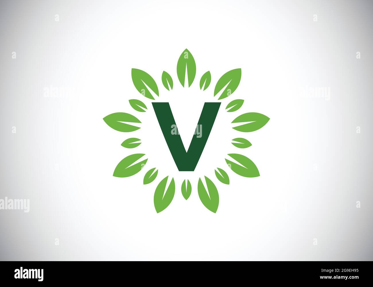 Initial V monogram letter alphabet with leaf wreath. Green leaf, flower ...
