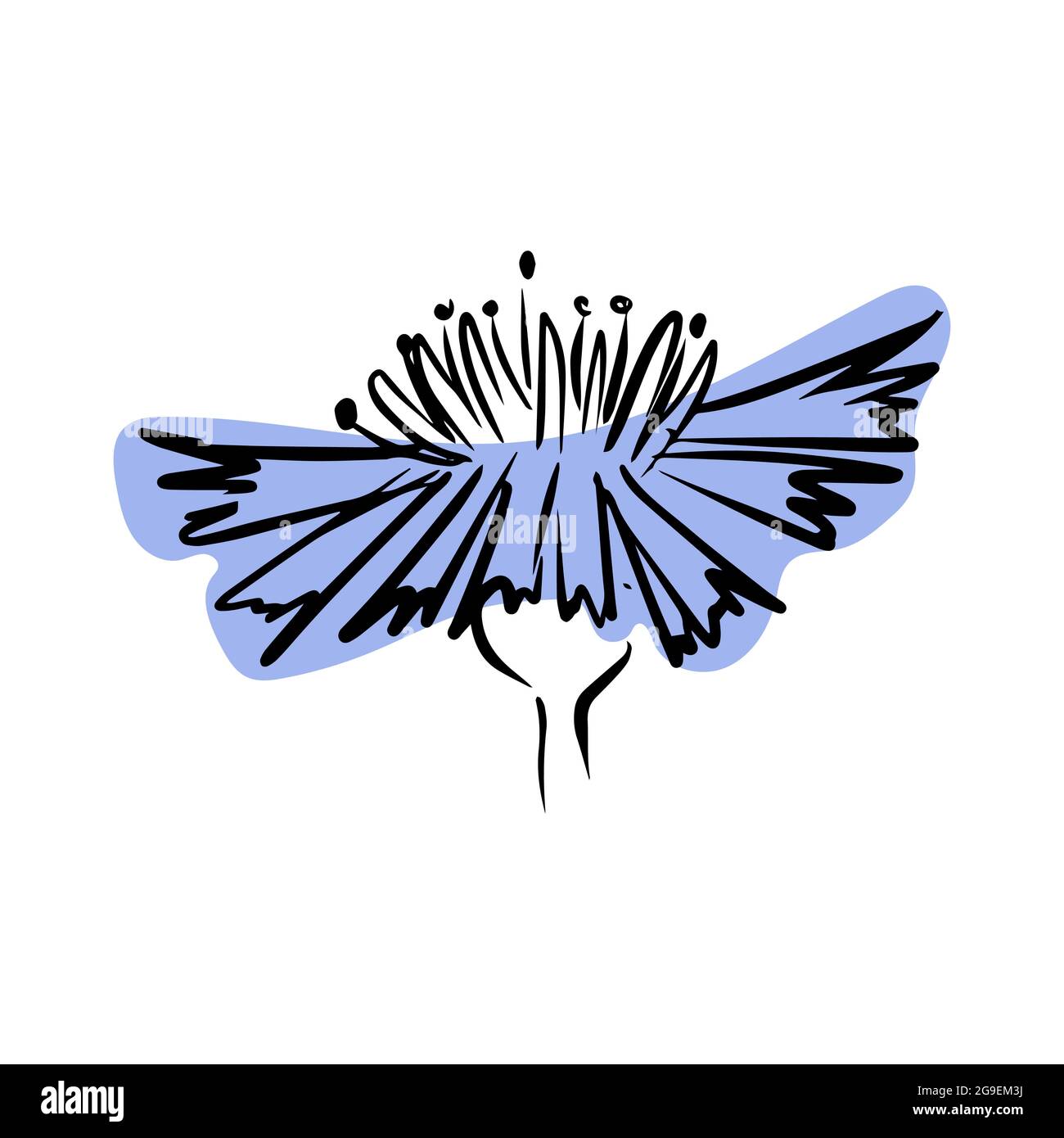 Cornflower with abstract shapes hand drawn illustration. Line art. Isolated on white background
