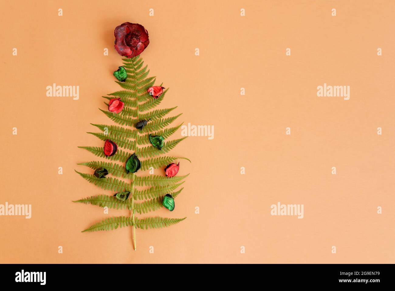 Summer christms tree made of fern and chamomile flowers with copy space. Alternative celebration of new year. Stock Photo