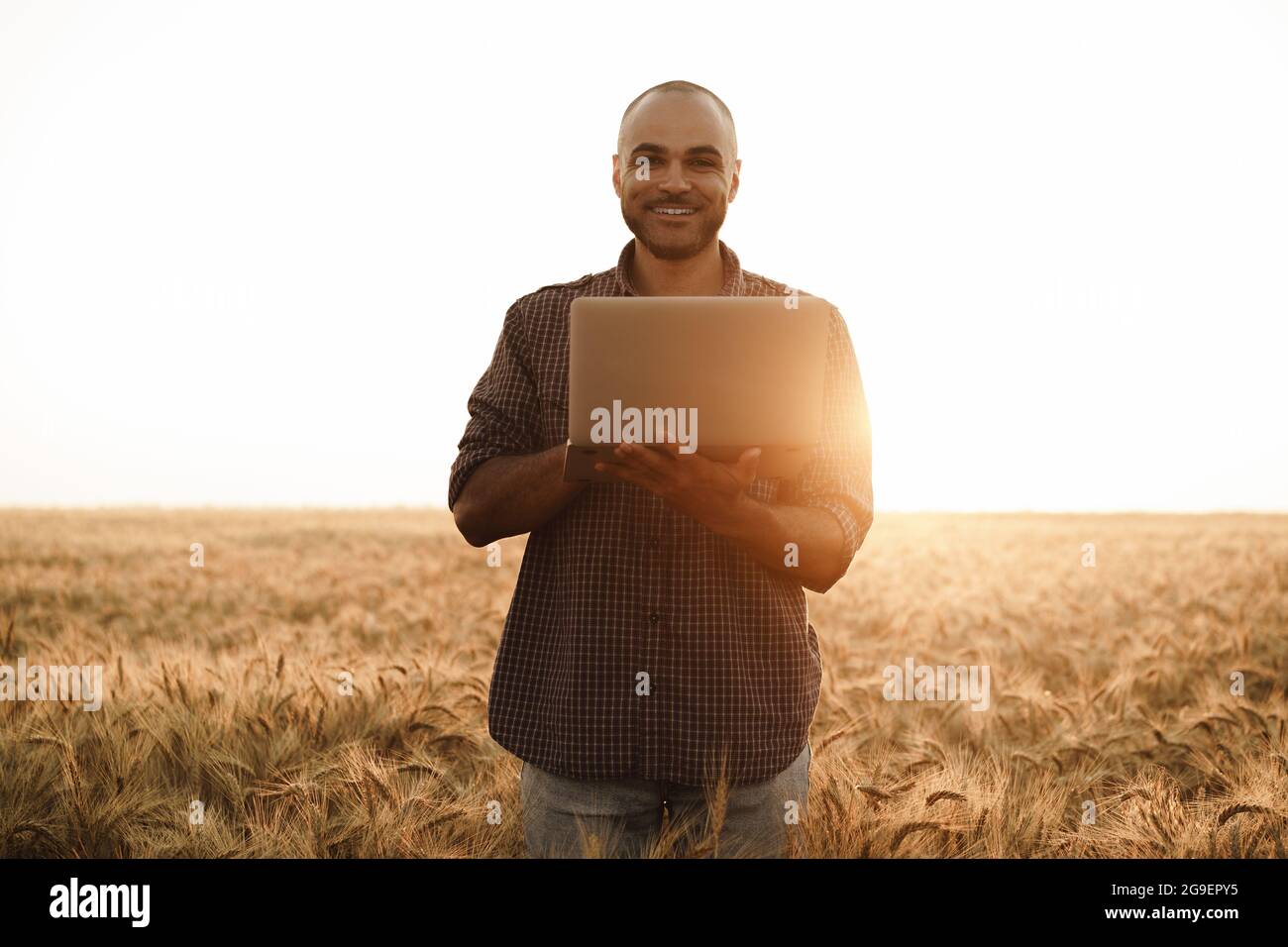 Businessman standing grain field hi-res stock photography and images ...