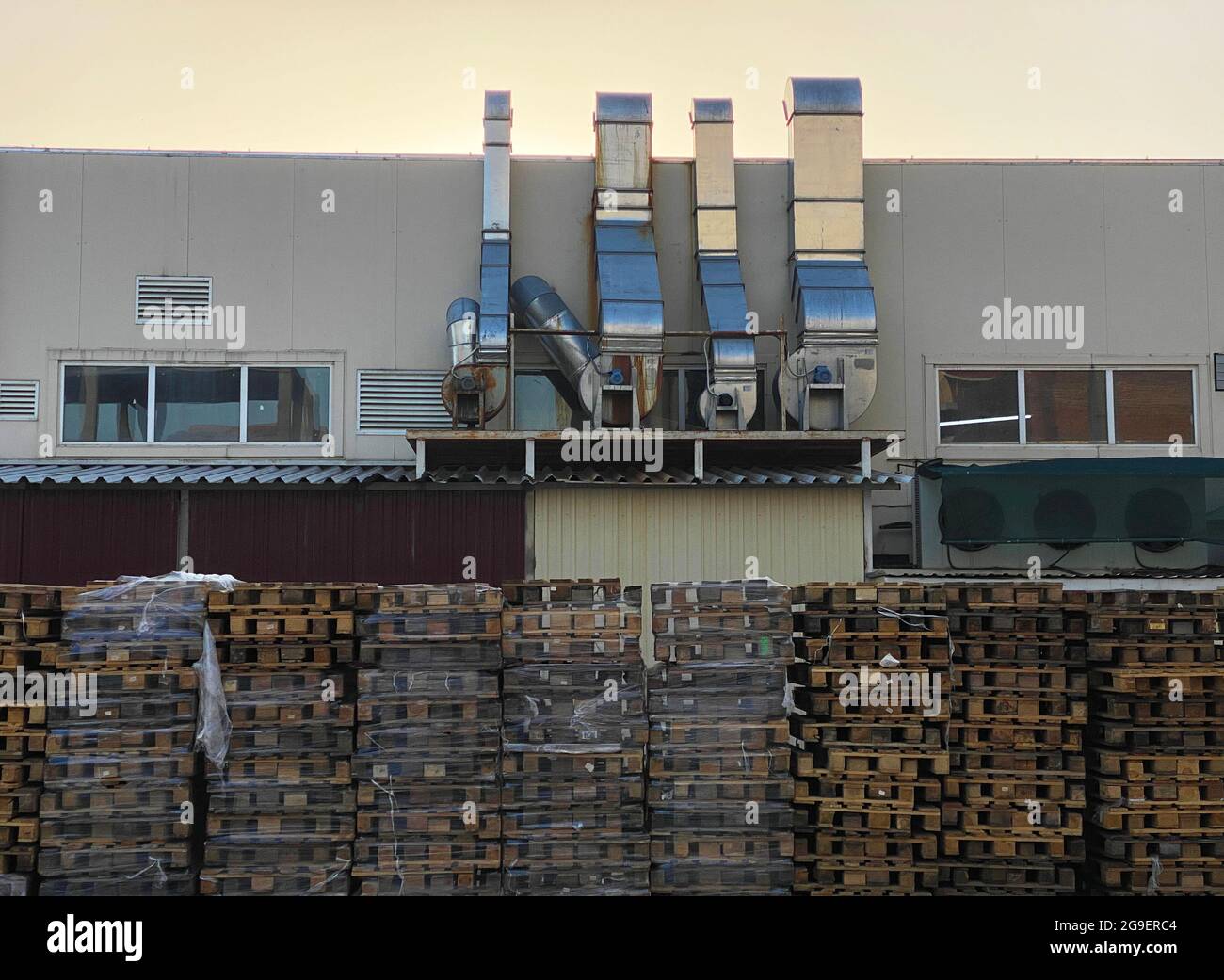 factory backyard exterior with wooden pallets row Stock Photo