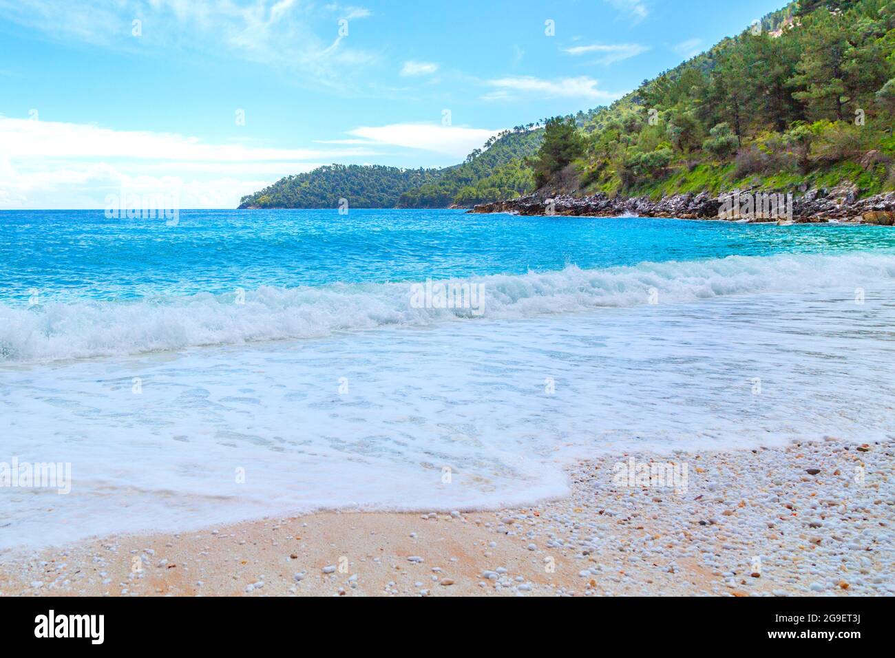 Summer Vacation Background With Turquoise Sea Water Bay And Pine Trees summer-vacation-background-with-turquoise-sea-water-bay-and-pine-trees