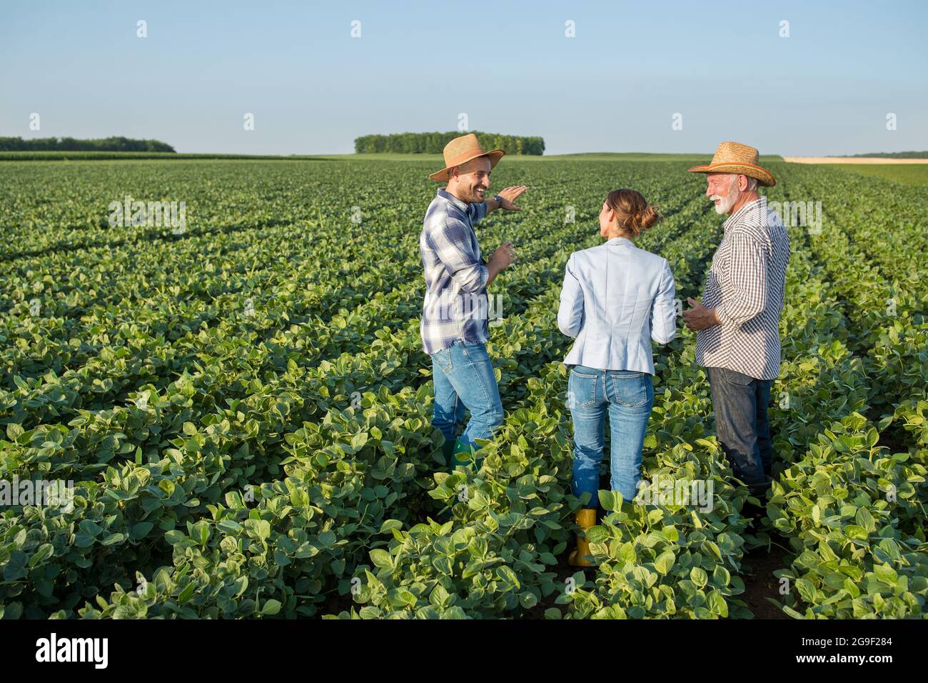 Female insurance sales representative walking in soy field between two male farmers. Three