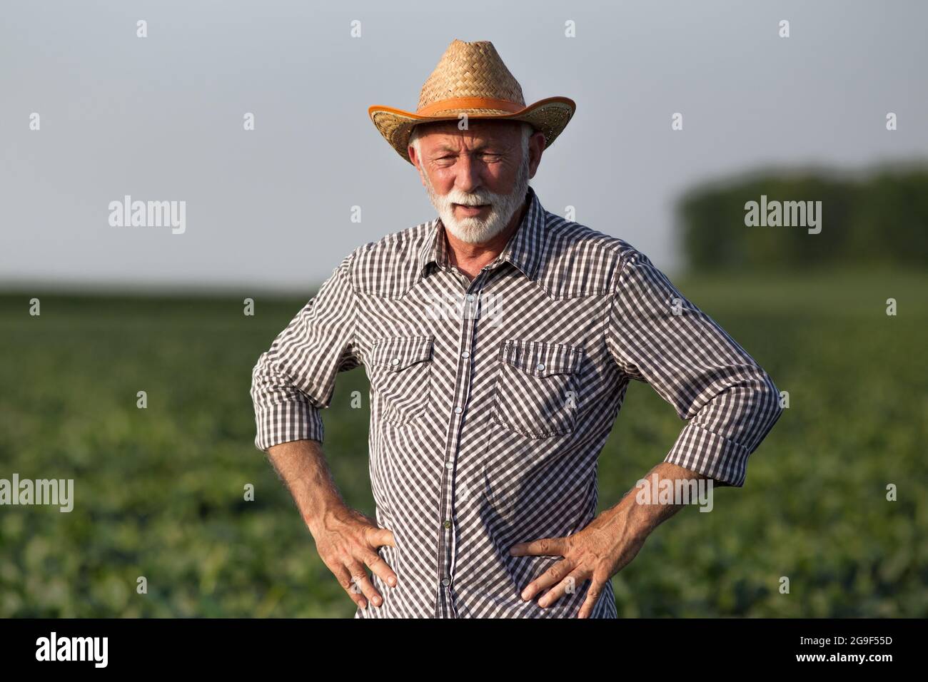 Farmer wearing straw hat hands hi-res stock photography and images