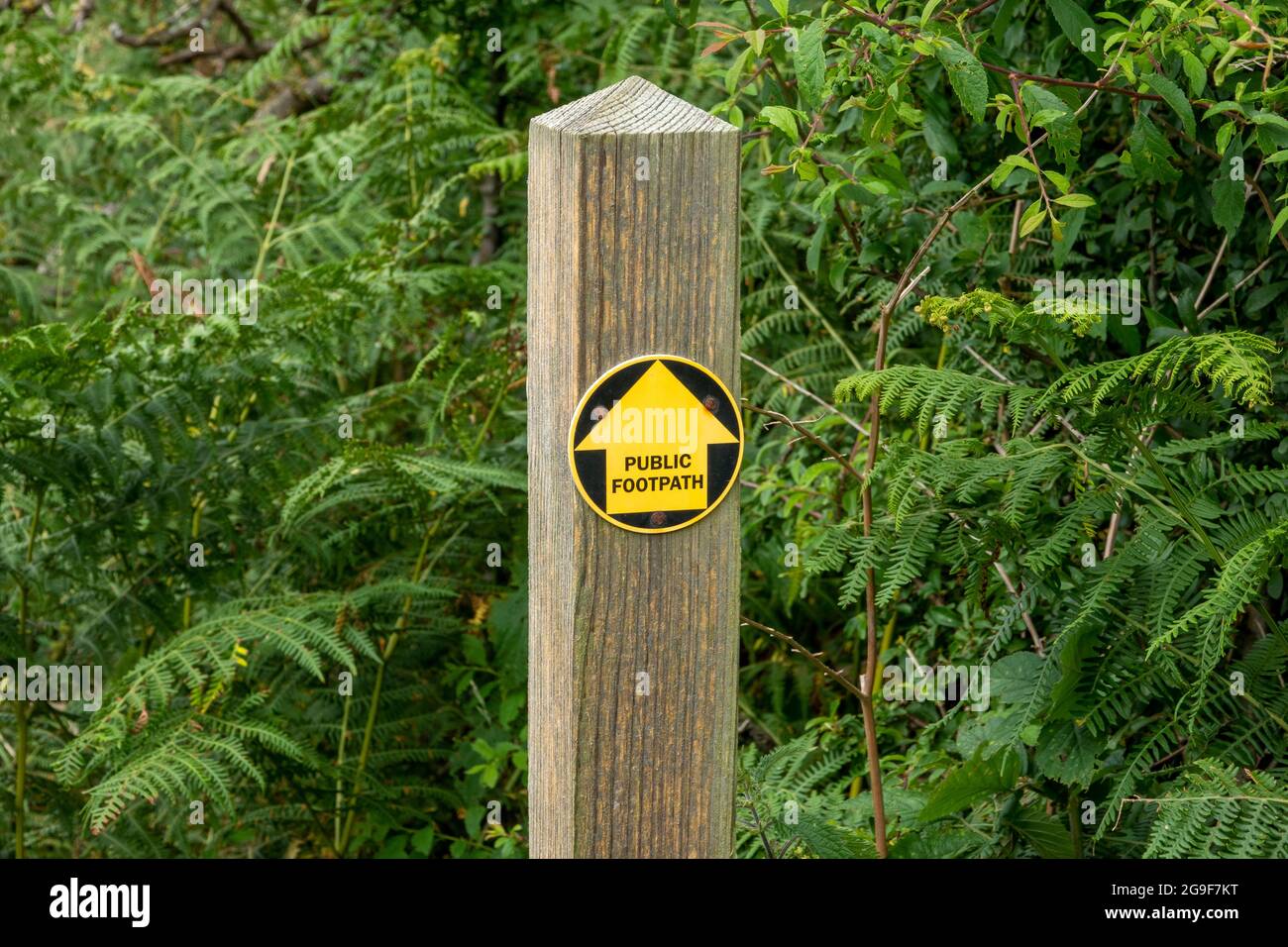 Public footpath sign on a roundel with yellow arrow on a black background mounted on a wooden post pointing straight ahead. Stock Photo